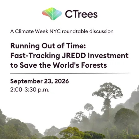 Running Out of Time: Fast-Tracking JREDD+ Investment to Save the World's Forests