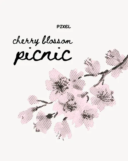 cherry blossom picnic 🌸