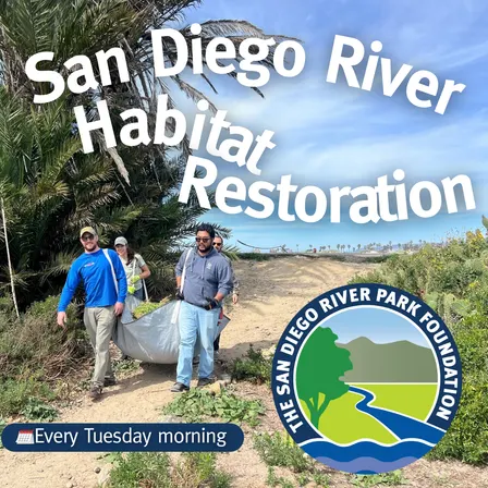 San Diego River Habitat Restoration