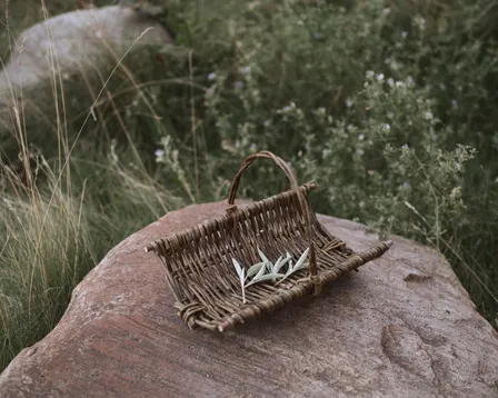 Tiny Trug