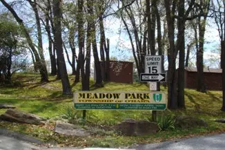 Meadow Park Community Block Party
