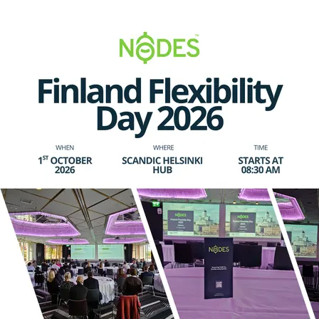 Finland Flexibility Day 2026