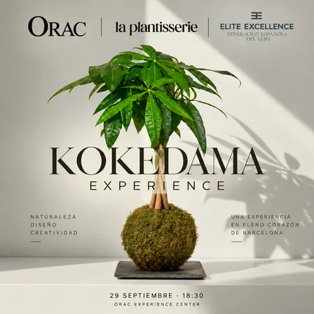 KOKEDAMA EXPERIENCE 🌿