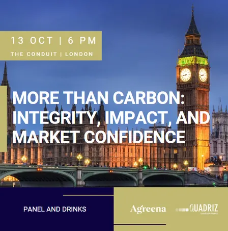 More Than Carbon: Integrity, Impact, and Market Confidence