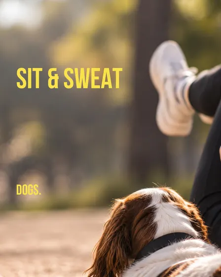 SIT & SWEAT with special guests