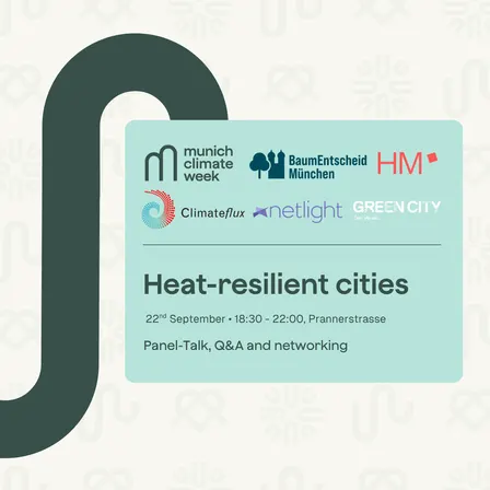 Heat resilience in big cities: How can we adapt?