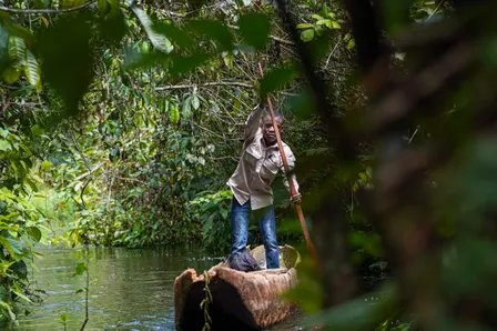 Financing the Congo Basin Forest in the New Development Landscape