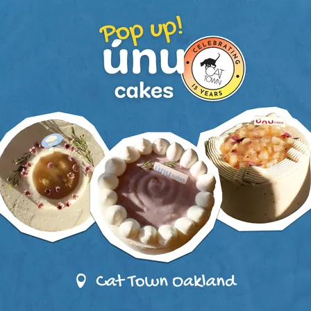 Chiffon Cake Popup @ Cat Town Oakland