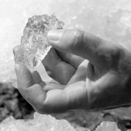 Knowledge in a Fractured World | Exhibition reception