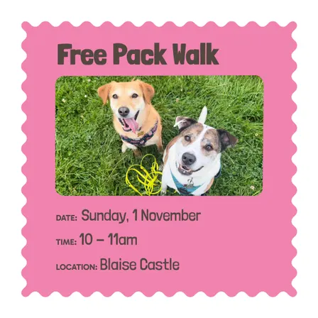 Free pack walk