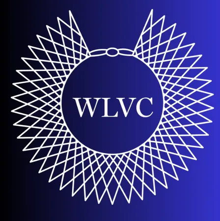 WLVC & SBWL Mixer: Mentorship Match Event