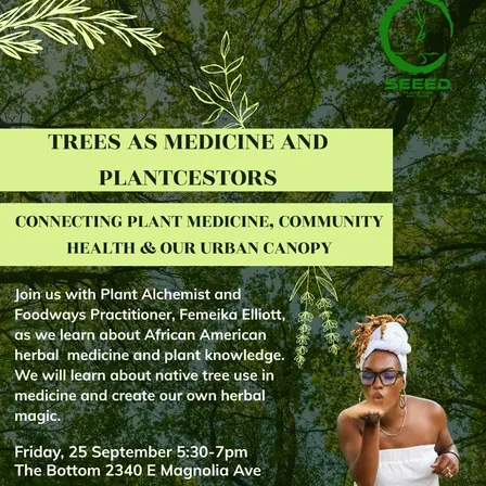 Trees As Medicine