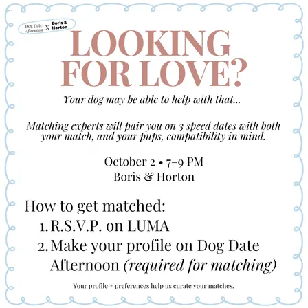 Looking for Love? Your Dog Can Help