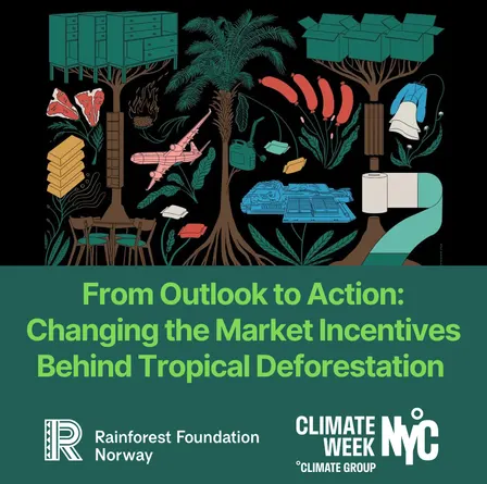 From Outlook to Action: Changing the Market Incentives Behind Tropical Deforestation