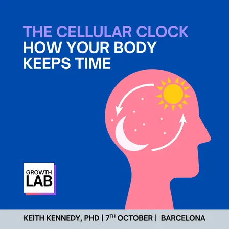 The Cellular Clock: How Your Body Keeps Time