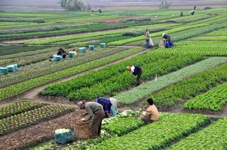 In Conversation with Raj Patel, co-chair of IPES-Food