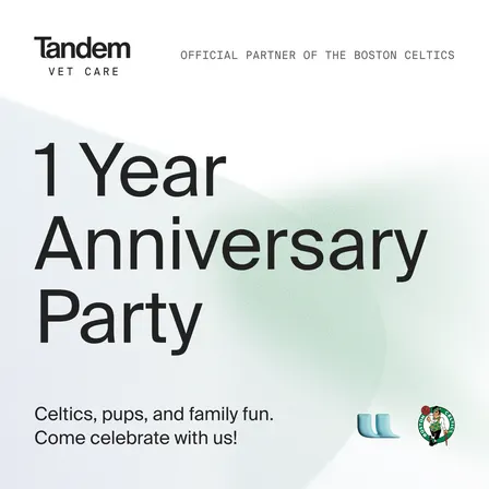 Tandem Vet - 1 Year Anniversary - Celtics Extravaganza (Rain Or Shine)