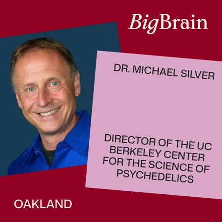 What Psychedelics Reveal About How We See the World