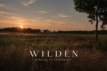 An Evening with Wilden