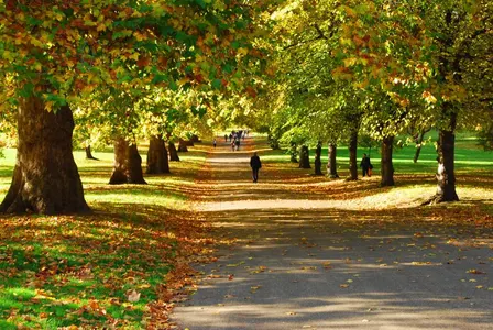 🌳Offline Women Explore the Royal Parks: Green Park
