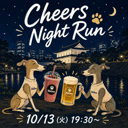 Cheers Night Run