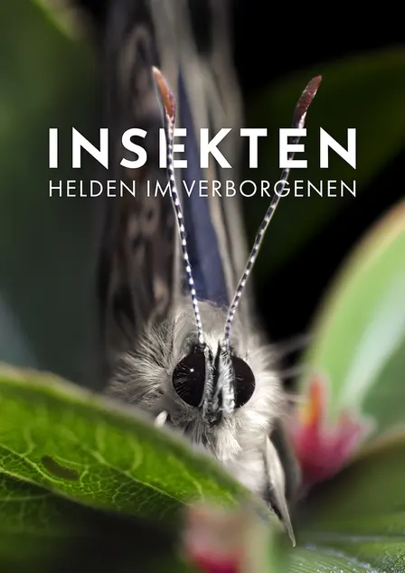 Film & Gespräch über Artenvielfalt, Umweltschutz und die Zukunft unserer Kinder
