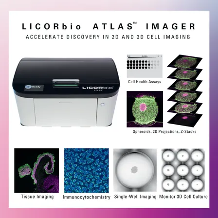 Smarter, Faster Cell Imaging with the Licorbio Atlas™: Unlocking High-Content 2D & 3D Assays