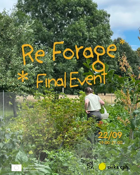 Reforage: Stories, Drinks & Regenerative Ideas 🌿