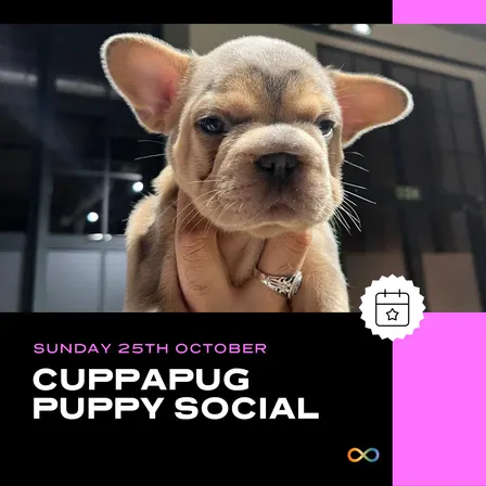 CuppaPug Puppy Social