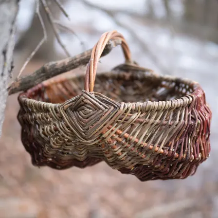 Butt Cheek Basket