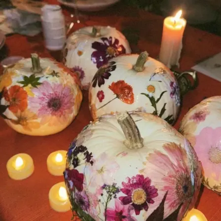 Pressed Flowers & Pumpkins: The Ultimate Fall Workshop 🎃🌼🧡
