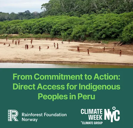 From Commitment to Action: Direct Access for Indigenous Peoples in Peru