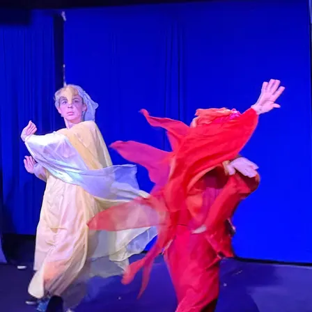 Pacific Eurythmy + Novalis Branch Workshop 2 and Potluck