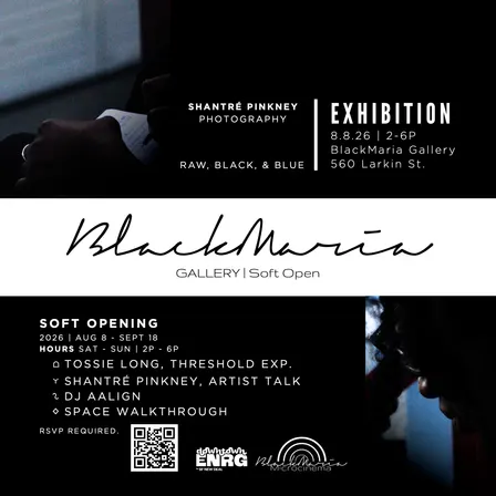 Exhibition: Shantré Pinkney