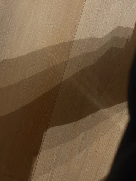 Oakland Noticing Club: Shadows