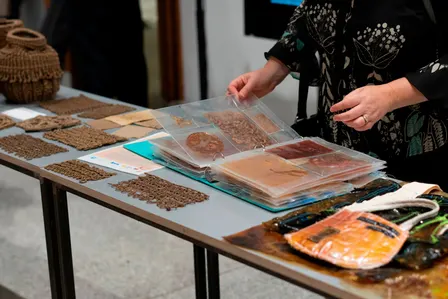 Book Launch: Material Variance by Lola Ben-Alon