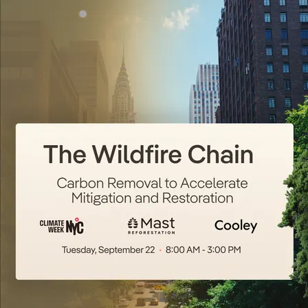 The Wildfire Chain: Carbon Removal to Accelerate Mitigation and Restoration