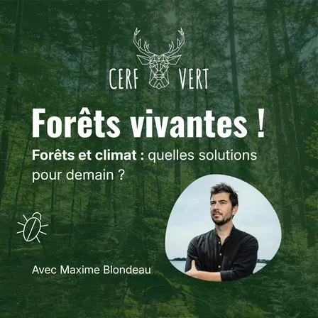 Pour des forêts vivantes ! avec Maxime Blondeau