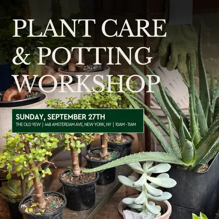 Plant Care & Potting Workshop