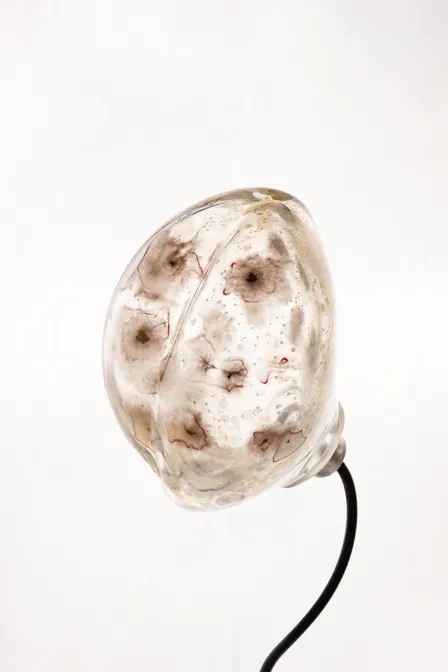 Fungi Croquis og maleri med mikrober- Rhoda Ting og Mikkel Bojesen
