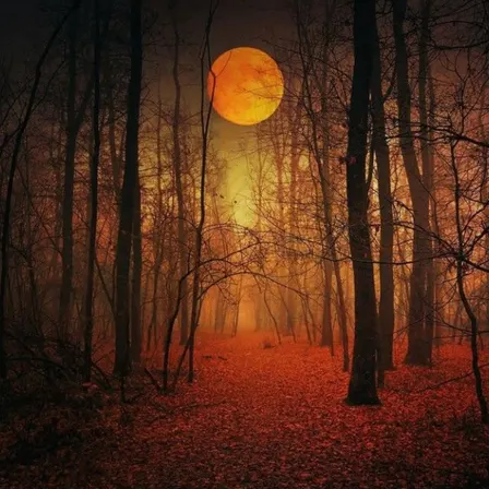 Harvest Spooktacular: A Gothic Fall Ball