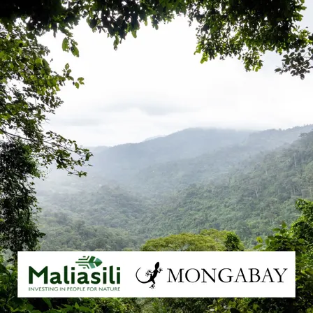 Financing conservation differently: Putting local leadership at the center