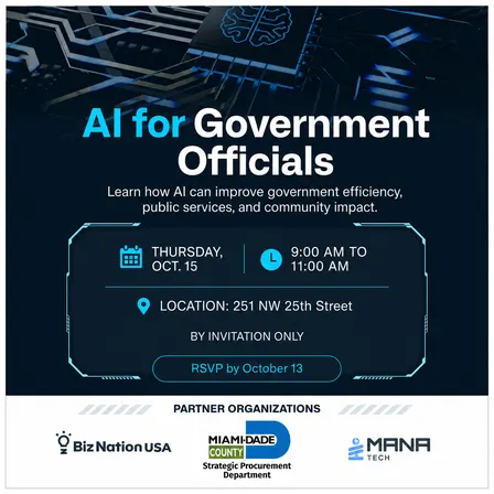 AI for Government Officials