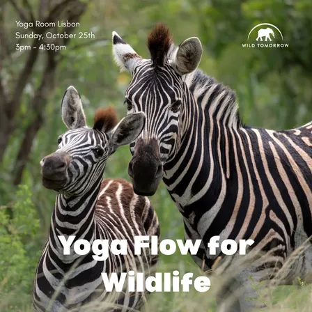 Yoga Flow for Wildlife