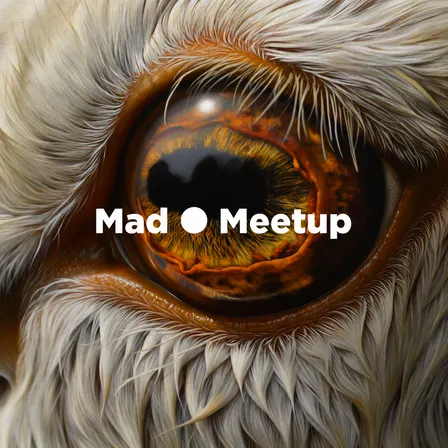 Mad ⚫ Meetup #34: Robotics Data and New Chips