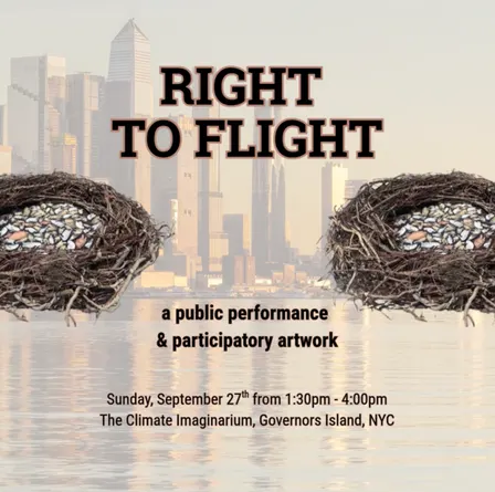 Right to Flight: A Public Performance & Participatory Artwork