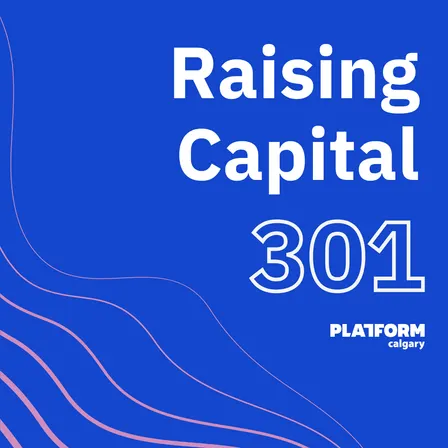Raising Capital 301 - Pitch Workshop - Innovation Week Special Edition