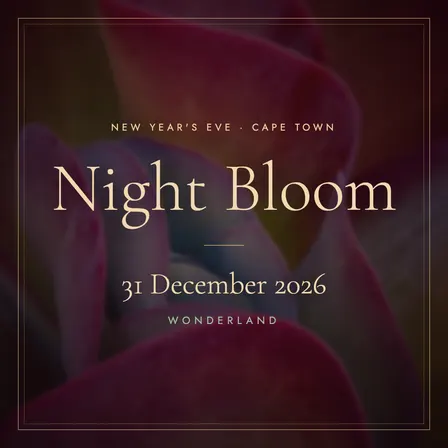 Night ✨ Bloom