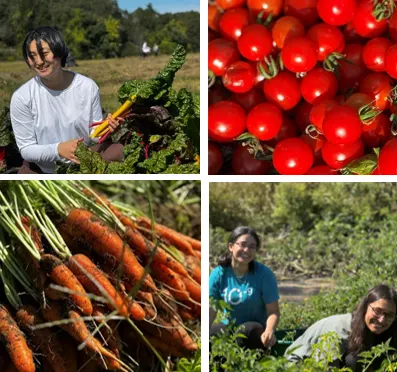 Hannan Farm Volunteer Party