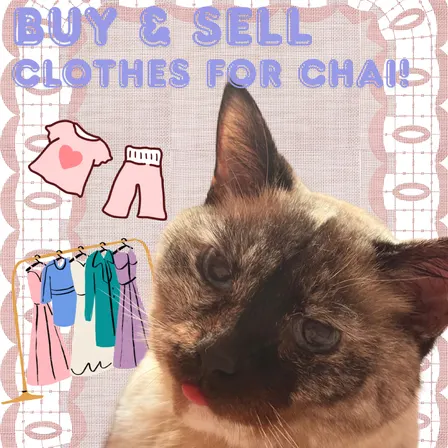 Buy My Clothes (and Sell Yours!) For Chai!